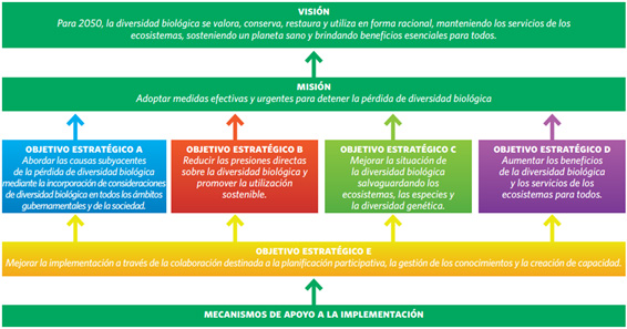 El siguiente diagrama muestra la estructura del Plan Estratégico para la Diversidad Biológica 2011-2020.